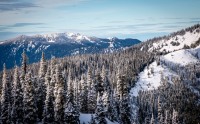 At Hurricane Ridge in Olympic National Park