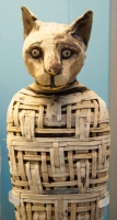 Mummified Cat