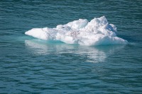 Iceberg near Hubbard Glacier