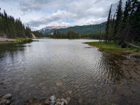 Hiking the Horseshoe Lake Trail in Denali National Park