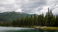 Hiking the Horseshoe Lake Trail in Denali National Park