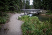 Hiking the Horseshoe Lake Trail in Denali National Park