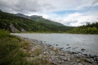 Nenana River while hiking the Horseshoe Lake Trail in Denali National Park