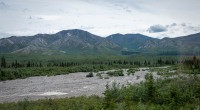 On the Tundra Wilderness Tour in Denali National Park