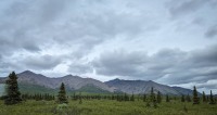 On the Tundra Wilderness Tour in Denali National Park