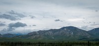 On the Tundra Wilderness Tour in Denali National Park