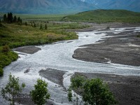 On the Tundra Wilderness Tour in Denali National Park