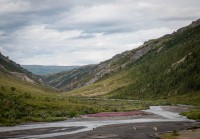 On the Tundra Wilderness Tour in Denali National Park