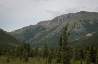 On the Tundra Wilderness Tour in Denali National Park