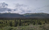 On the Tundra Wilderness Tour in Denali National Park