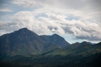 At Teklanika Rest Area on the Tundra Wilderness Tour in Denali National Park