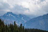 At Teklanika Rest Area on the Tundra Wilderness Tour in Denali National Park