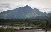 On the Tundra Wilderness Tour in Denali National Park