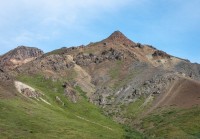 On the Tundra Wilderness Tour in Denali National Park