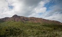 On the Tundra Wilderness Tour in Denali National Park