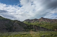 On the Tundra Wilderness Tour in Denali National Park