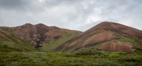 On the Tundra Wilderness Tour in Denali National Park