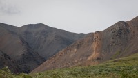 On the Tundra Wilderness Tour in Denali National Park