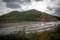 On the Tundra Wilderness Tour in Denali National Park