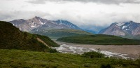 On the Tundra Wilderness Tour in Denali National Park