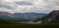 On the Tundra Wilderness Tour in Denali National Park