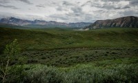 On the Tundra Wilderness Tour in Denali National Park