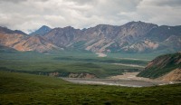 On the Tundra Wilderness Tour in Denali National Park