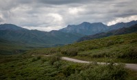 On the Tundra Wilderness Tour in Denali National Park