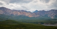 On the Tundra Wilderness Tour in Denali National Park