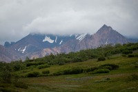 On the Tundra Wilderness Tour in Denali National Park