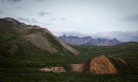 On the Tundra Wilderness Tour in Denali National Park