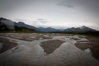 On the Tundra Wilderness Tour in Denali National Park