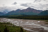 On the Tundra Wilderness Tour in Denali National Park