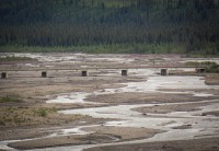 On the Tundra Wilderness Tour in Denali National Park