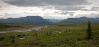 On the Tundra Wilderness Tour in Denali National Park