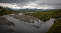 On the Tundra Wilderness Tour in Denali National Park