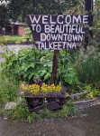 Around Talkeetna