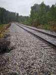 Along the Susitna River in Talkeetna