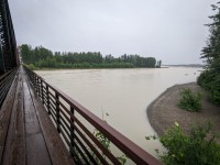 Along the Susitna River in Talkeetna