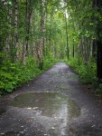 Around Talkeetna