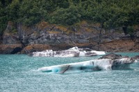 In Glacier Bay National Park