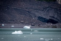 In Glacier Bay National Park