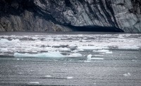 In Glacier Bay National Park