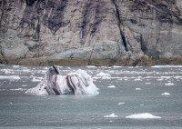 In Glacier Bay National Park