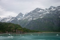 In Glacier Bay National Park