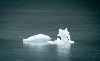 In Glacier Bay National Park