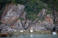 In Glacier Bay National Park