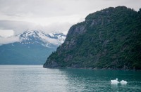 In Glacier Bay National Park