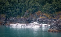 In Glacier Bay National Park