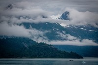 In Glacier Bay National Park